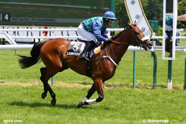 07/06/2016 - Compiègne - Prix Gacko : Arrivée