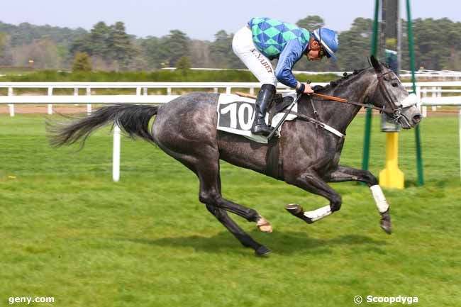 05/04/2017 - Fontainebleau - Prix de la Tillaie : Arrivée