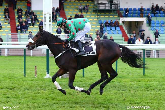 10/11/2017 - Compiègne - Prix Paulette Rolland : Arrivée