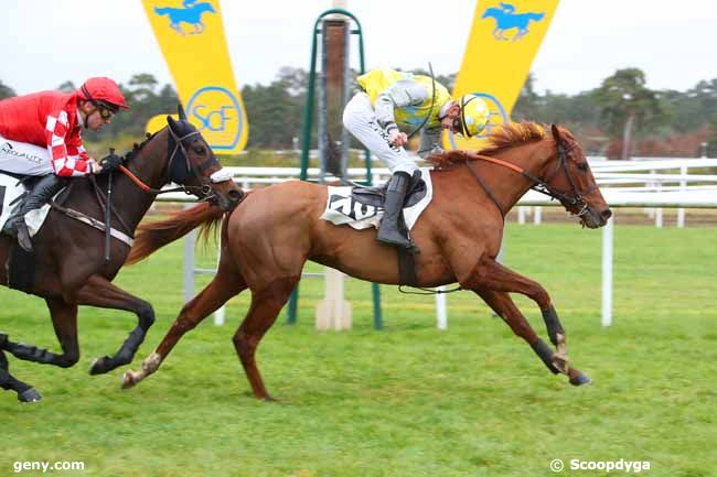 16/11/2021 - Fontainebleau - Prix du Carrefour du Nid de l'Aigle : Arrivée