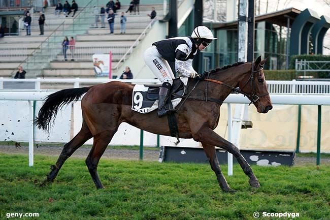 11/01/2023 - Pau - Prix Pmu le Bistrot du Stade - Prix de S. Sebastian-Donostia : Arrivée