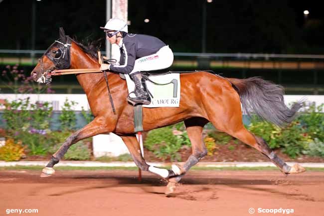 25/08/2023 - Cabourg - Prix de Moulins-la-Marche : Arrivée