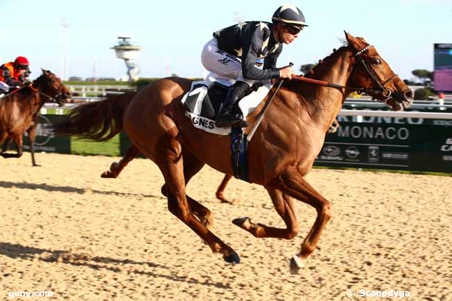 29/01/2024 - Cagnes-sur-Mer - Prix des Boutons d'Or : Arrivée