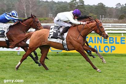 02/03/2024 - Fontainebleau - Prix des Grands Cerfs : Arrivée