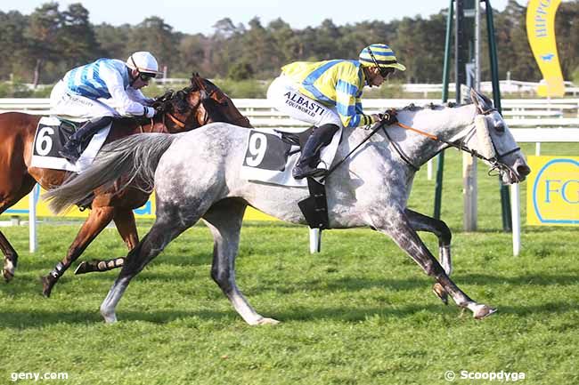 13/04/2024 - Fontainebleau - Prix de la Forêt des Trois Pignons : Arrivée