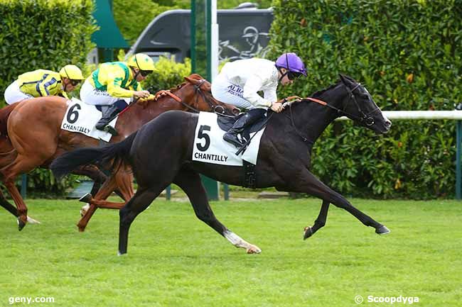 17/05/2024 - Chantilly - Prix Texanita : Arrivée