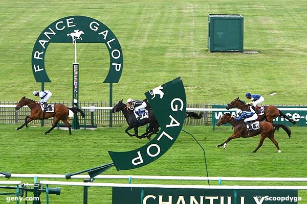23/05/2008 - Chantilly - Prix de Viarmes : Arrivée