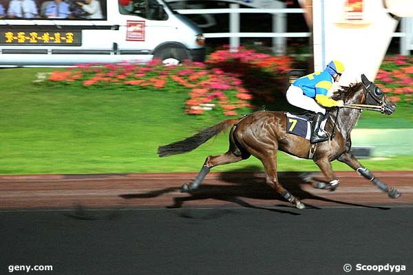 30/05/2008 - Vincennes - Prix Istria : Arrivée