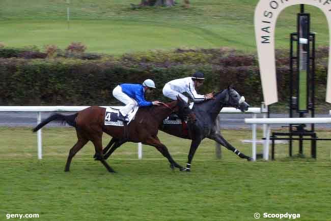 15/10/2008 - Maisons-Laffitte - Prix Uganda : Ankunft