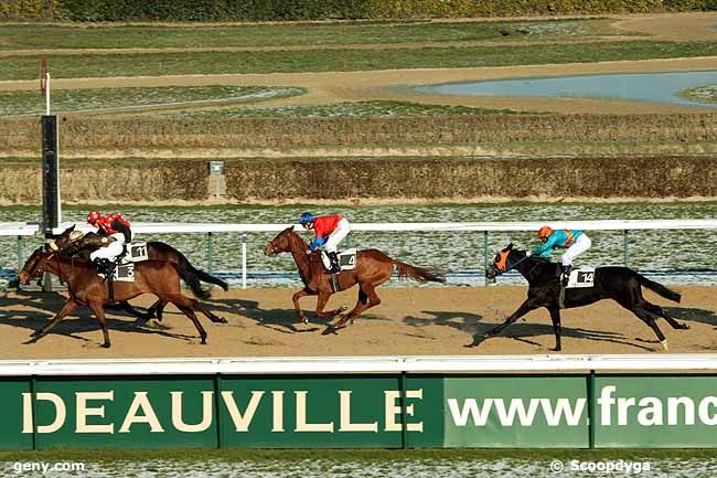 04/01/2010 - Deauville - Prix d'Herbourgère : Arrivée