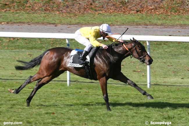 25/10/2010 - Maisons-Laffitte - Prix de Richebourg : Result