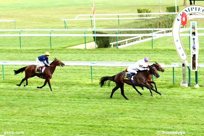 02/10/2014 - Compiègne - Prix de Méléagre : Arrivée