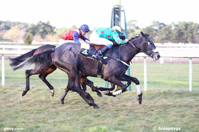 27/02/2015 - Fontainebleau - Prix de la Société des Courses de Pau : Result