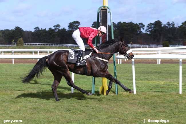 02/03/2016 - Fontainebleau - Prix Jacques Geliot : Result