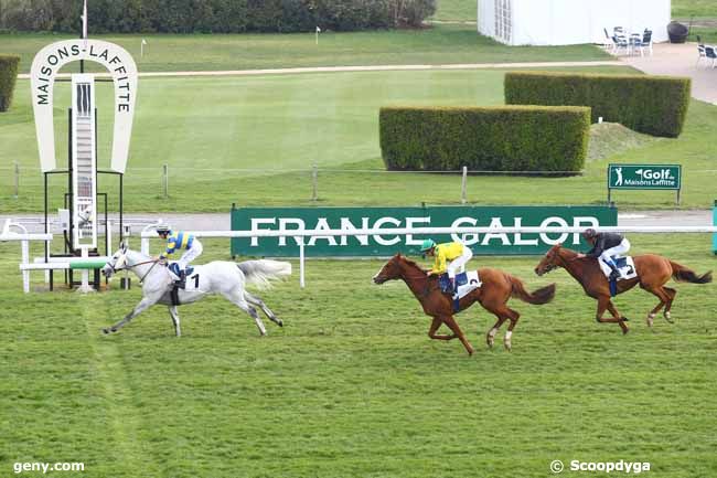 01/04/2016 - Maisons-Laffitte - Prix Right Royal : Arrivée