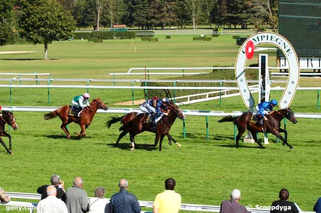 29/09/2016 - Compiègne - Prix de Mélicocq : Result