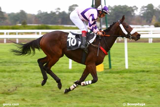 12/11/2016 - Fontainebleau - Prix d'Aigueperse : Arrivée