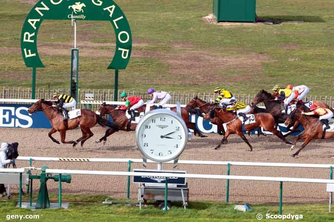 23/02/2017 - Chantilly - Prix de Noisy-sur-Oise : Arrivée