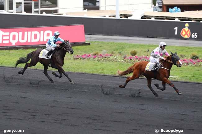 29/01/2019 - Vincennes - Prix de Cholet : Arrivée