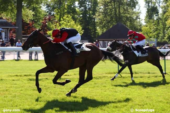 14/05/2019 - Compiègne - Prix Hyères III : Ankunft