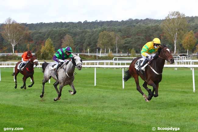 03/11/2020 - Fontainebleau - Prix Gautier de la Selle : Ankunft