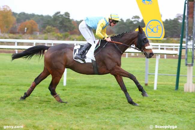 16/11/2021 - Fontainebleau - Prix du Théatre Impérial du Château de Fontainbleau : Arrivée