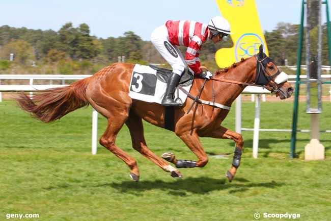 20/04/2022 - Fontainebleau - Prix des Genêts : Arrivée