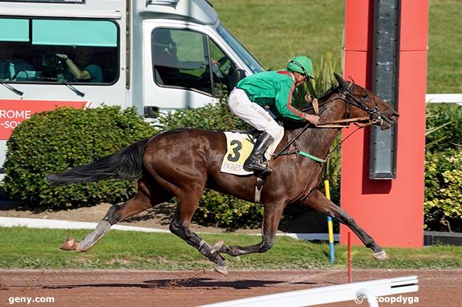 02/10/2023 - Enghien - Prix de Thomery : Ankunft