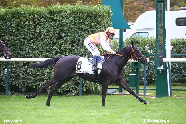 12/10/2023 - Chantilly - Prix du Jardin Anglais : Arrivée