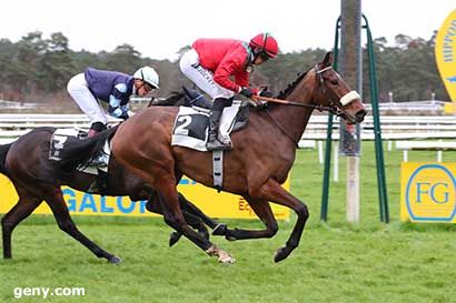 02/03/2024 - Fontainebleau - Prix de la Fontaine Désirée : Arrivée