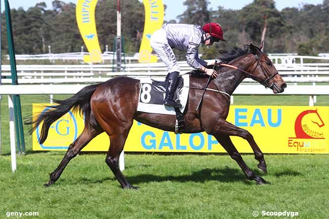 13/04/2024 - Fontainebleau - Prix de la Plaine des Sablons : Arrivée