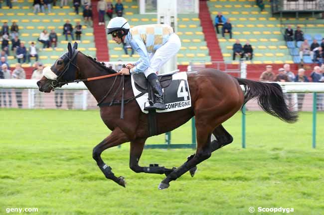 03/10/2024 - Compiègne - Prix Bucheur : Arrivée