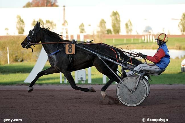 23/10/2024 - Agen-Le Passage - Prix de Bordeaux : Arrivée