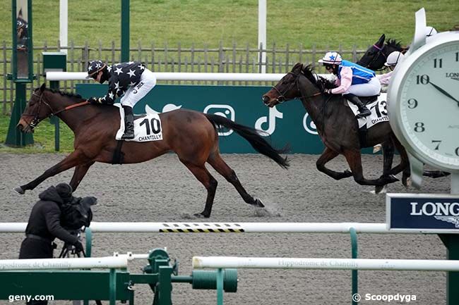 16/01/2025 - Chantilly - Prix de la Demoiselle du Rhuis : Arrivée