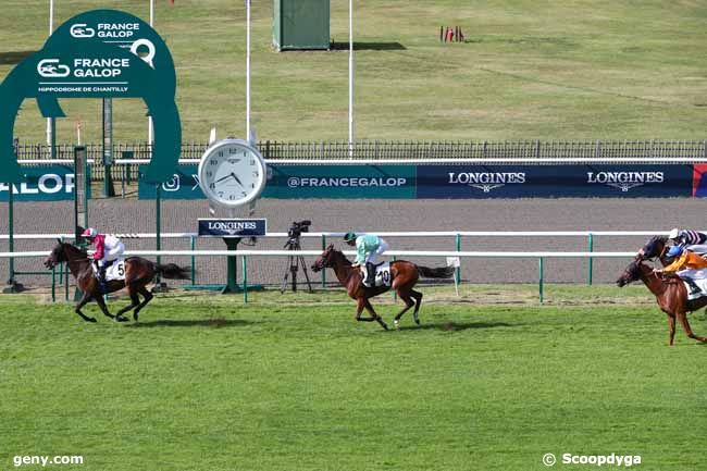 05/09/2025 - Chantilly - Prix de Cinqueux : Arrivée