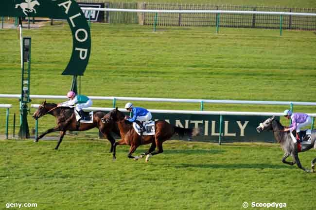 18/09/2008 - Chantilly - Prix du Four A Chaux : Ankunft