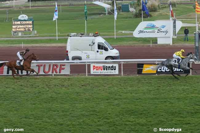 03/12/2008 - Marseille-Borély - Prix Paris Turf - Prix Louis Brunet : Arrivée