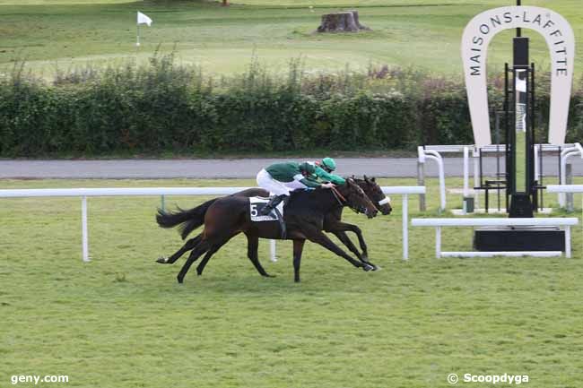 25/10/2010 - Maisons-Laffitte - Prix Finasseur : Arrivée