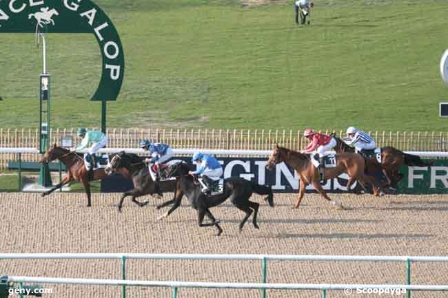 23/03/2012 - Chantilly - Prix du Haras au Bois : Arrivée