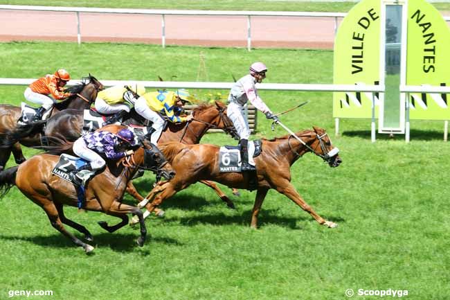 10/06/2014 - Nantes - Prix Journal GENYcourses : Result