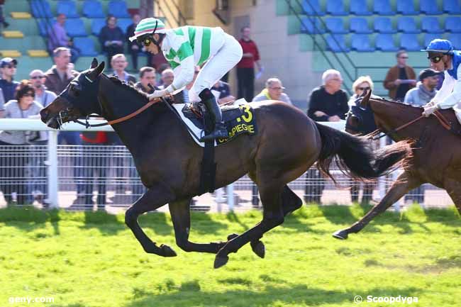 07/04/2017 - Compiègne - Prix de l'Etoile de la Reine : Arrivée