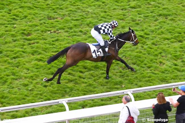 13/04/2017 - Auteuil - Prix Rose Laurel : Arrivée