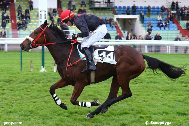 10/11/2017 - Compiègne - Grand Steeple Chase-Cross-Country de Compiègne : Ankunft