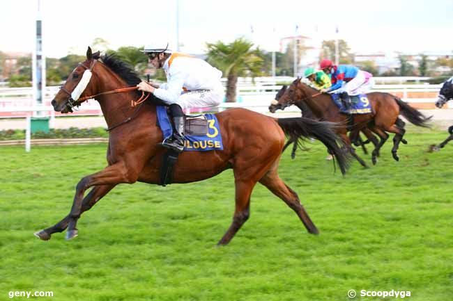 10/11/2018 - Toulouse - Prix de la République du Sénégal - Prix de Saint-Cyprien : Arrivée