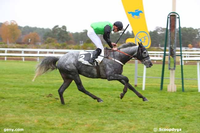 16/11/2021 - Fontainebleau - Prix du Debucher : Ankunft