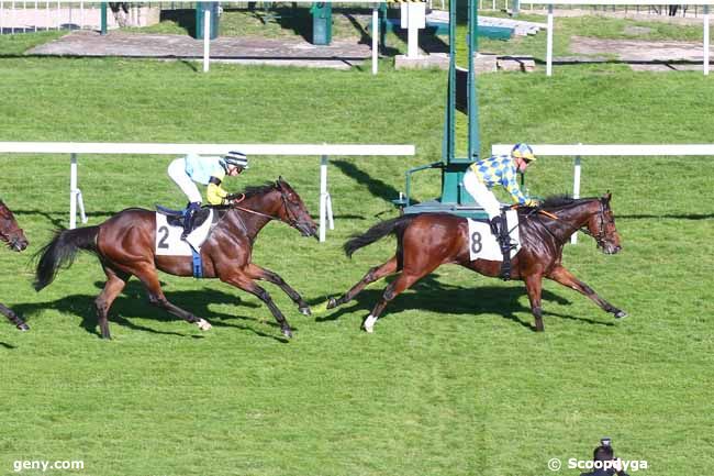 11/10/2022 - Saint-Cloud - Prix Bubbles : Ankunft