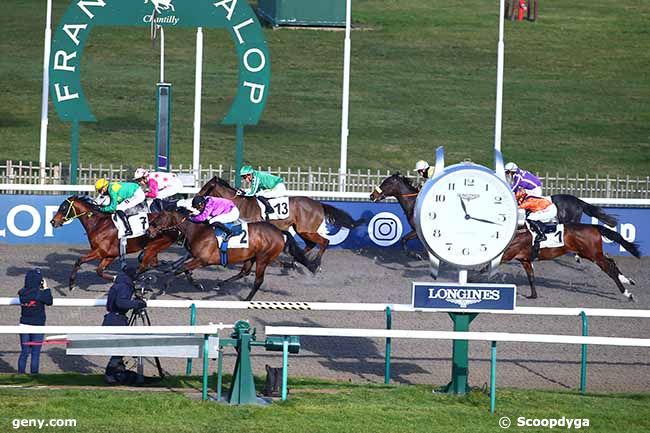 06/02/2023 - Chantilly - Prix du Plateau du Mont Alta : Arrivée