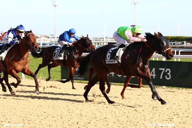 29/01/2024 - Cagnes-sur-Mer - Prix des Romarins : Arrivée