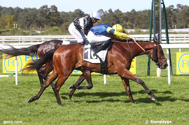 13/04/2024 - Fontainebleau - Prix Techstar Fontainebleau (Prix de la Chapelle-la-Reine) : Arrivée