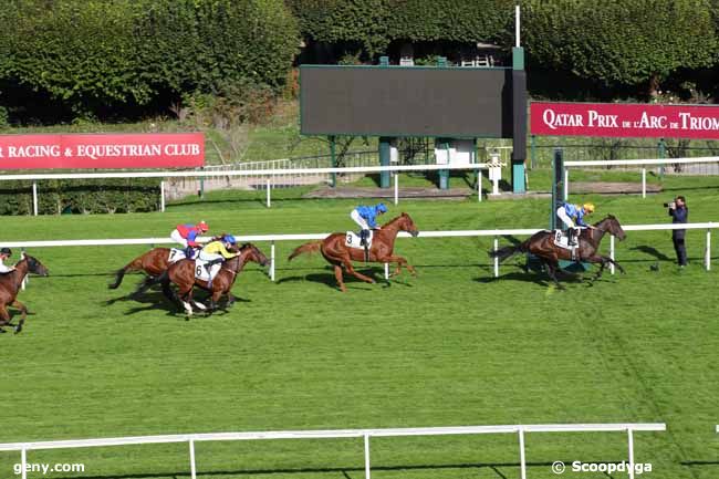 04/10/2024 - Saint-Cloud - Prix Scaramouche : Ankunft